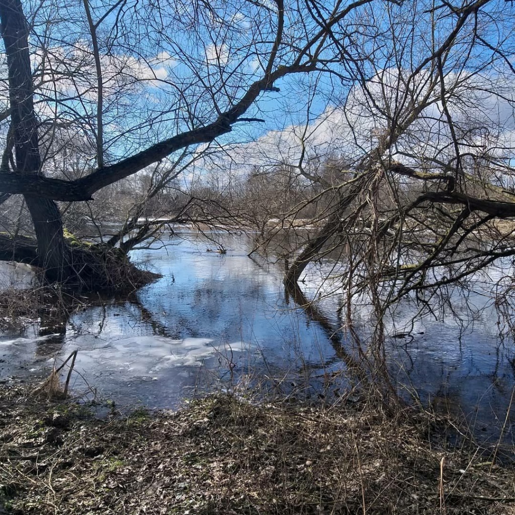 как ловить спиннингом ранней весной в половодье (2).jpg